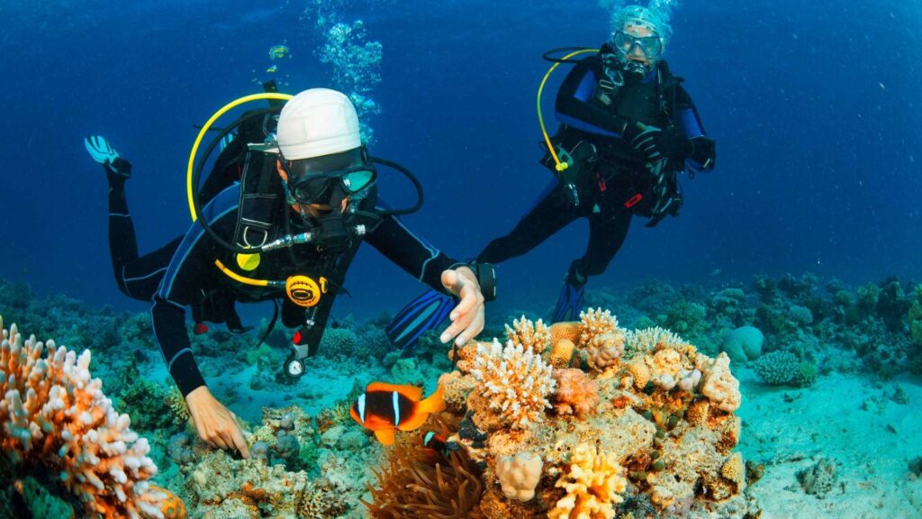 Enjoy Your Diving Vacation In Bali with These Dives Center